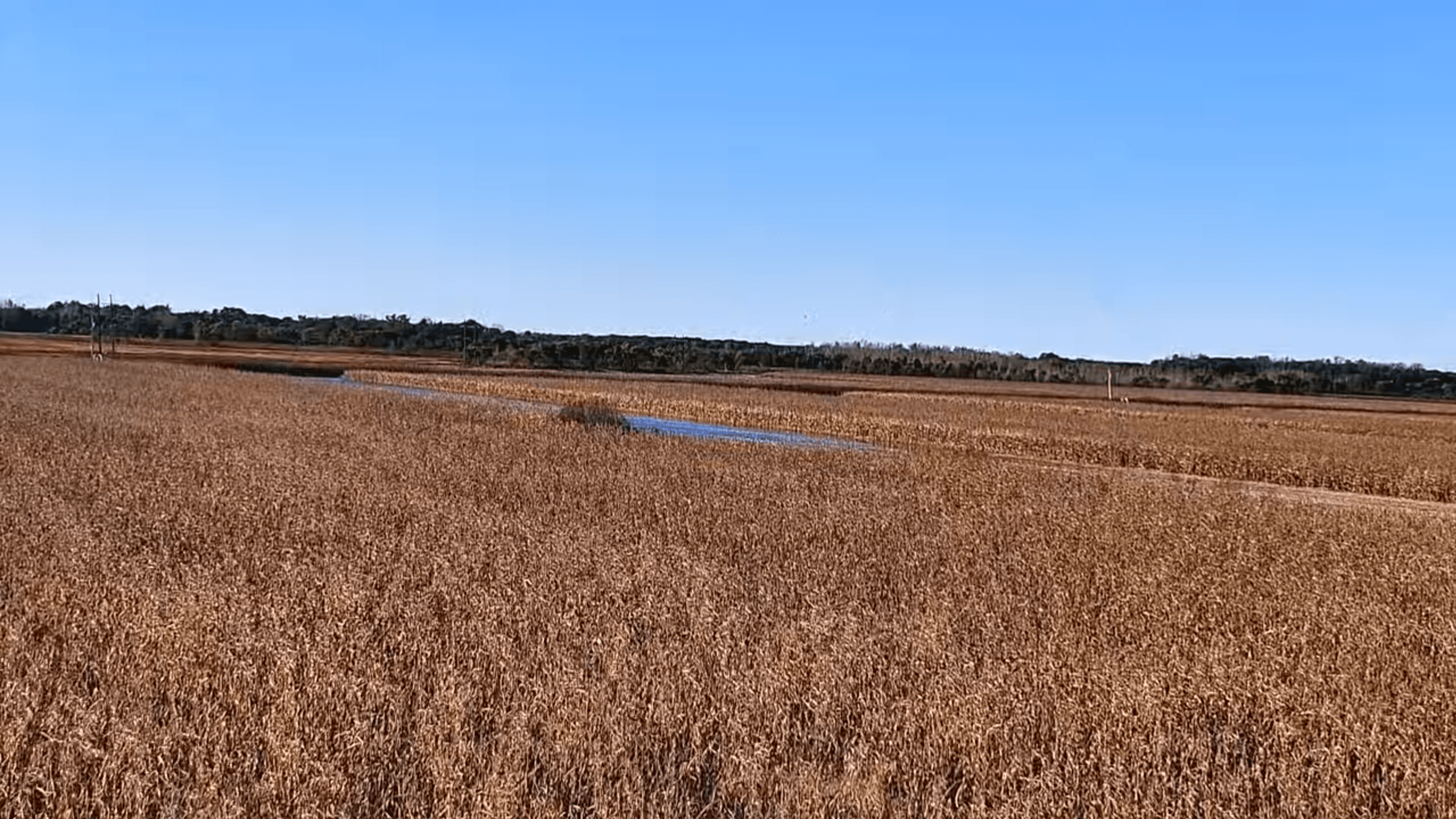 Thumbnail for Camera 1