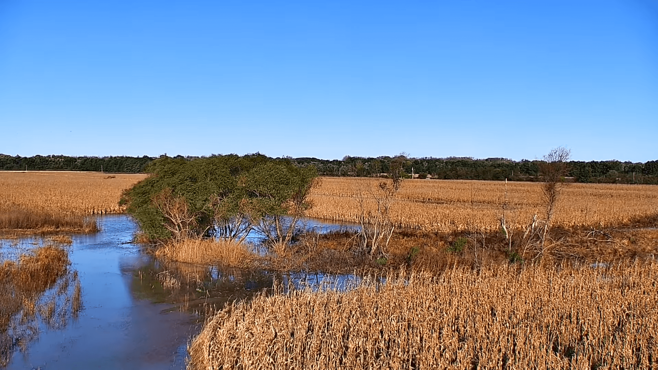 Thumbnail for Camera 1